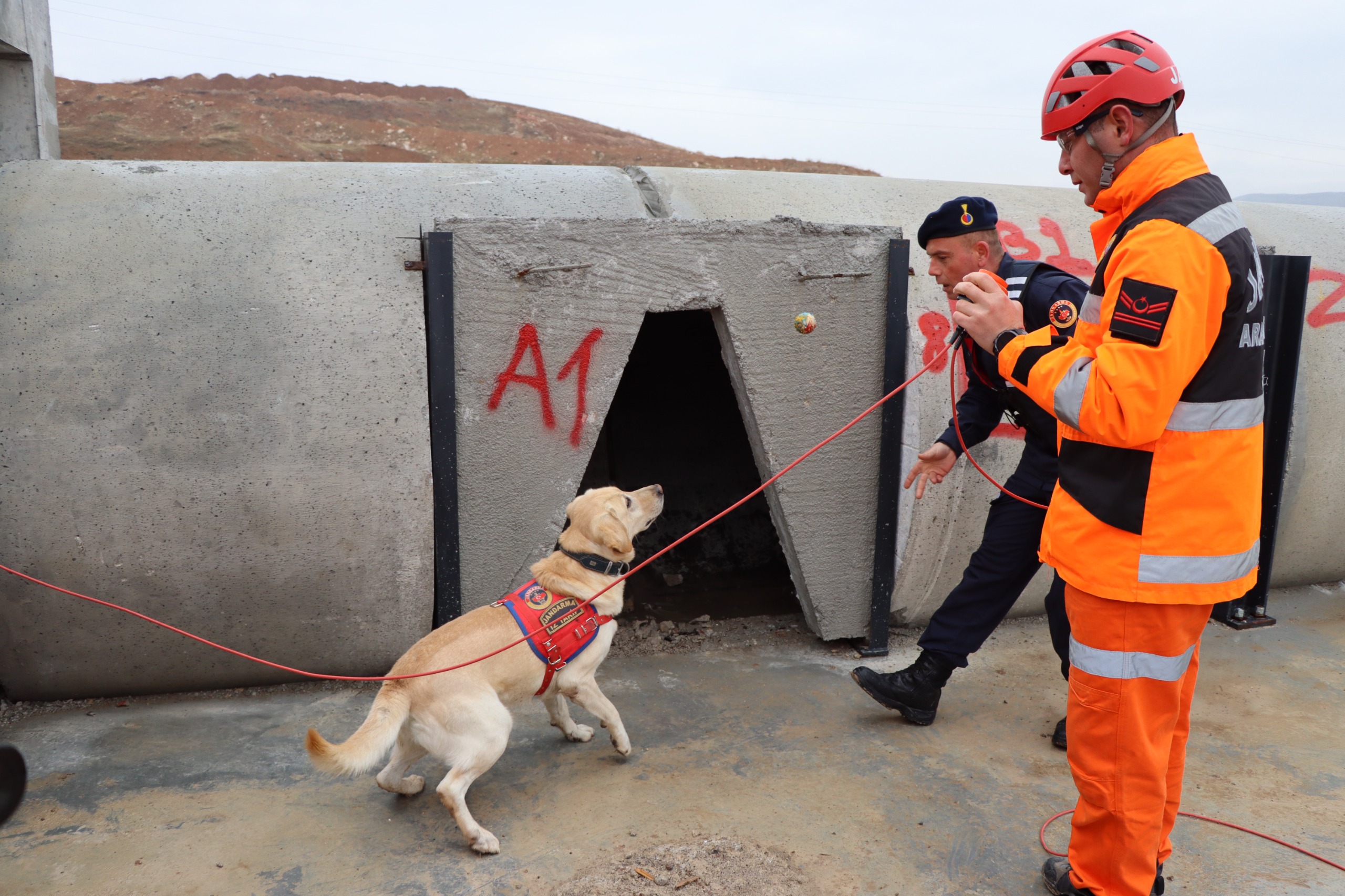 Komandolara Arama Kurtarma Eğitimi Düzenlendi Komandolara Arama Kurtarma Eğitimi Düzenlendi