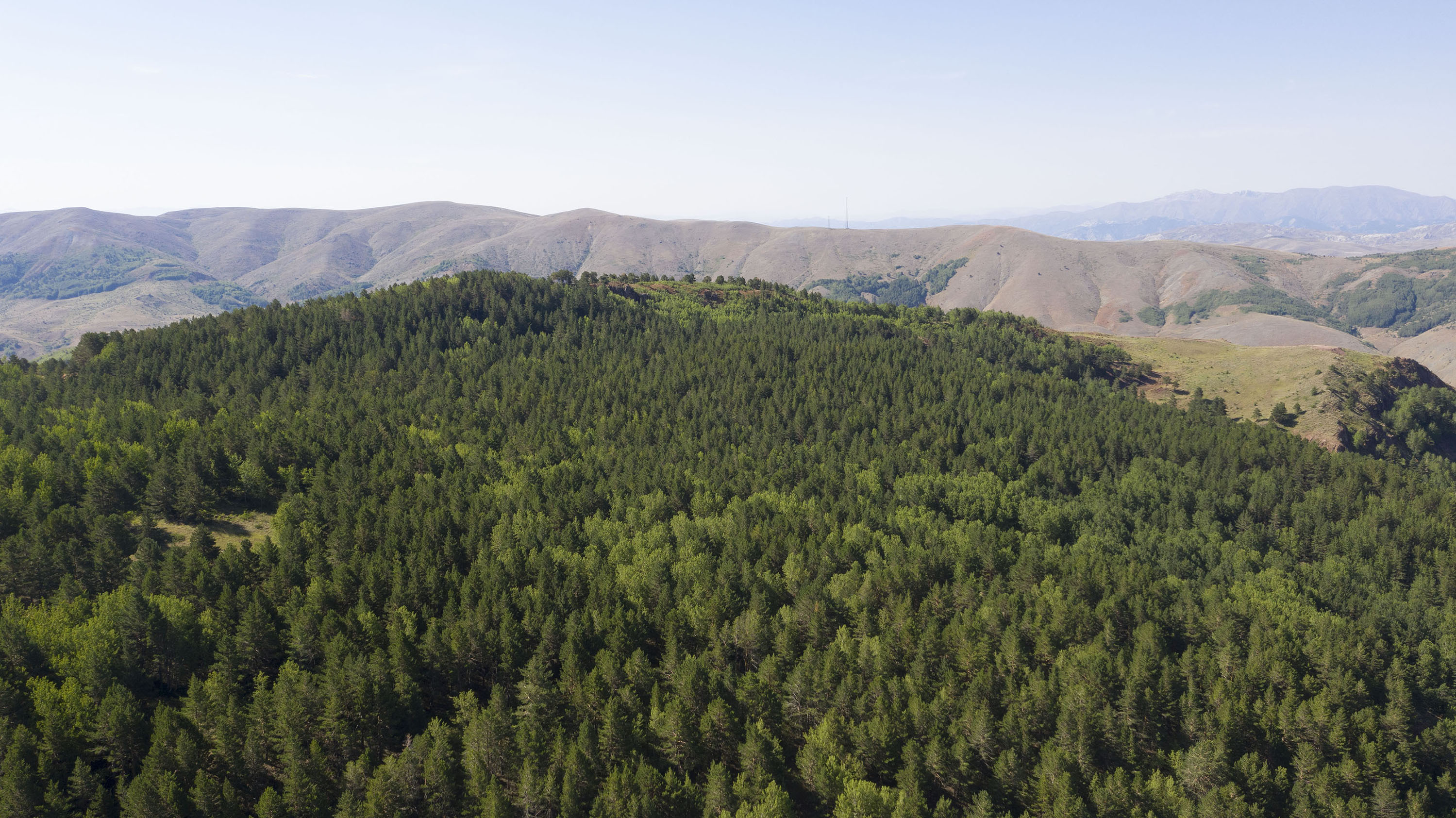 İlimiz Genelinde Ormanlara Giriş Yasaklandı İlimiz Genelinde Ormanlara Giriş Yasaklandı