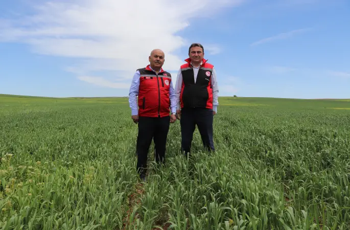 İlimizde Tohumluk Patates Ekimi Başladı