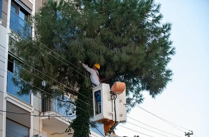 Karşıyaka'da budama seferberliği: Ağaçlar bahara hazırlanıyor
