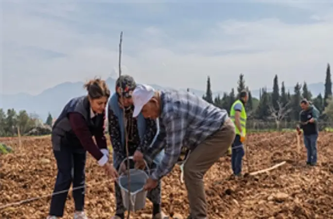 Kesilen cevizlerin yerine umut filizlendi