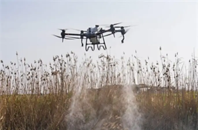 Sivrisinek ve zararlılara karşı İzmir modeli