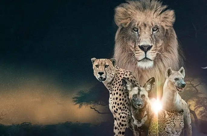 'Vahşi Krallık: Klanların Savaşı',   22 Şubat Pazar Saat 20.00'de İki Bölüm Art Arda  National Geographic WILD Ekranlarında!